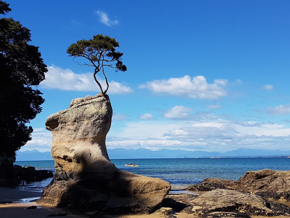 Abel Tasman Sands Bnb Riwaka 외부 사진